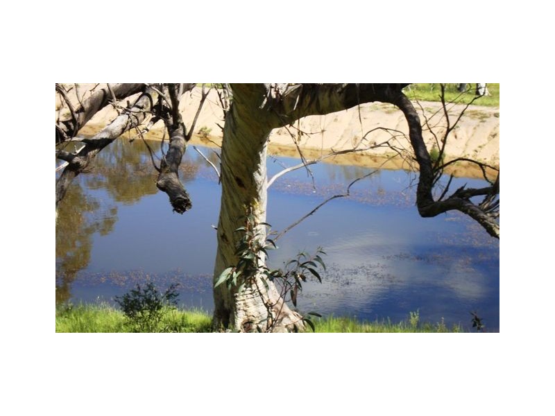 157 Kalkite Road, Kalkite NSW 2627