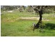 157 Kalkite Road, Kalkite NSW 2627