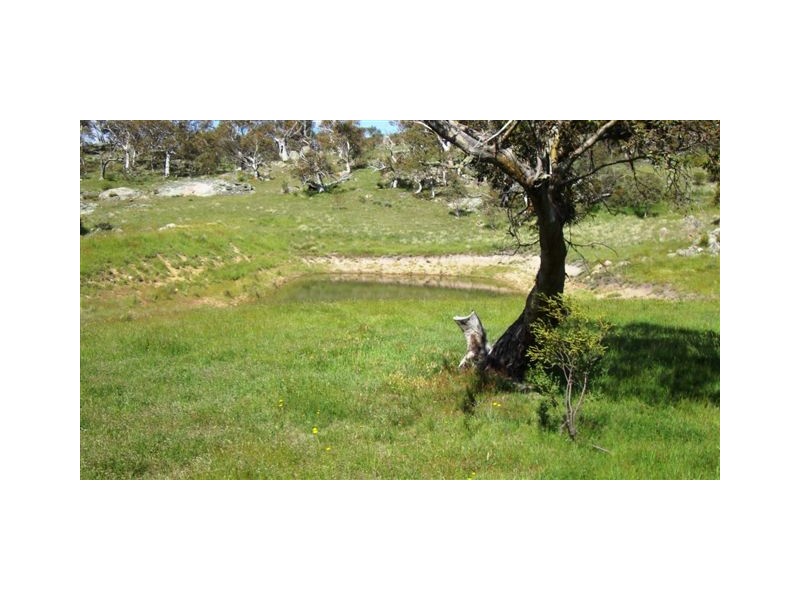 157 Kalkite Road, Kalkite NSW 2627