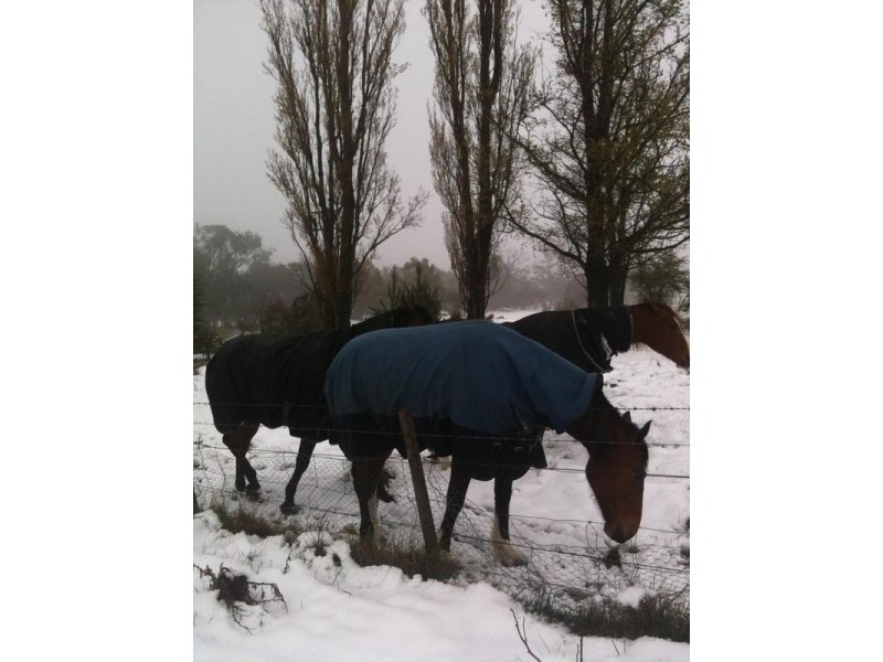 157 Kalkite Road, Kalkite NSW 2627