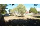 21 Mackay Street, Berridale NSW 2628