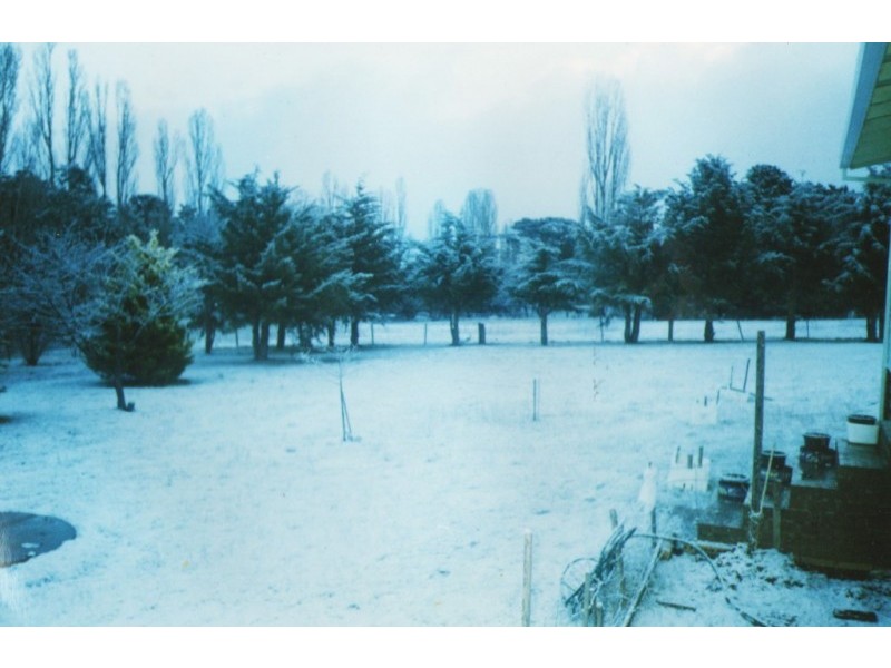 12 Hamilton Street, Dalgety NSW 2628