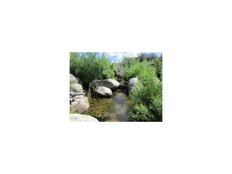 1006 Rocky Plains Road, Berridale NSW 2628