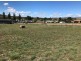Lot 19, 37 Roberson Street, Berridale NSW 2628