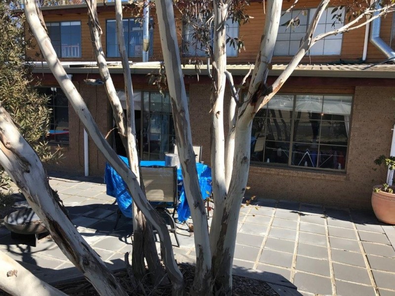 2/2 Wullwye Street, Berridale NSW 2628