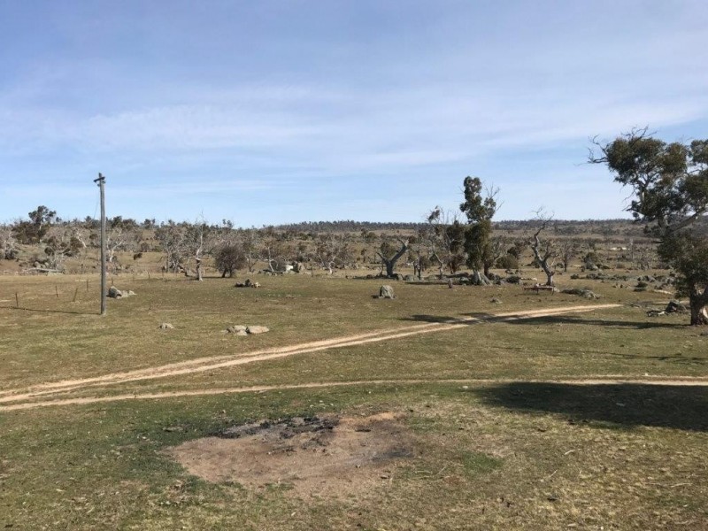 91 Hickory Dale Road, Berridale NSW 2628