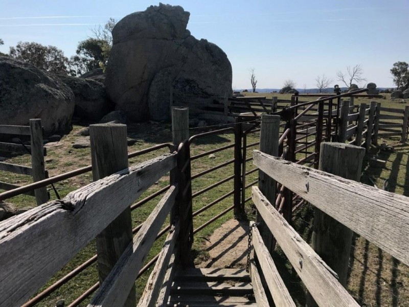 91 Hickory Dale Road, Berridale NSW 2628