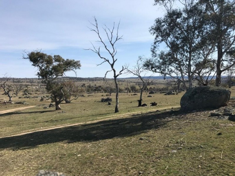 91 Hickory Dale Road, Berridale NSW 2628