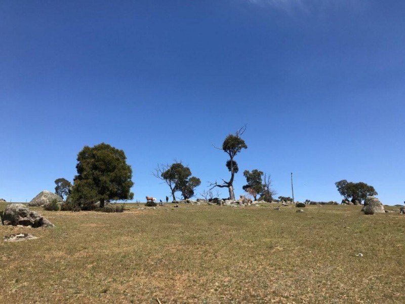 Lot 1 & 2, 2 & 10 Granite Street, Berridale NSW 2628