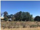 272 Blackburn Creek Road, Dalgety NSW 2628