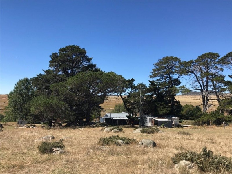 272 Blackburn Creek Road, Dalgety NSW 2628
