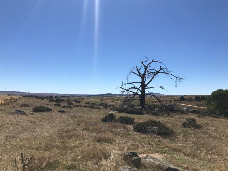 272 Blackburn Creek Road, Dalgety NSW 2628