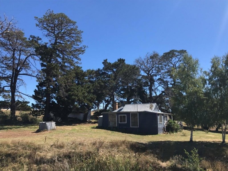 272 Blackburn Creek Road, Dalgety NSW 2628