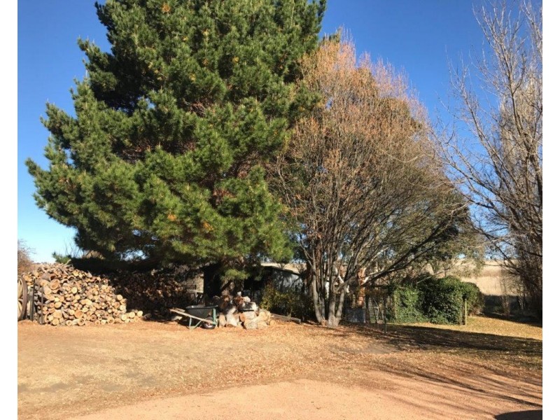 258 Dalgety Road, Berridale NSW 2628