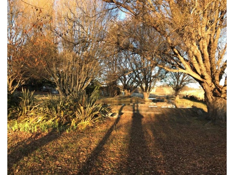 258 Dalgety Road, Berridale NSW 2628