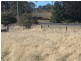 10 Monaro Highway, Bombala NSW 2632