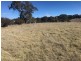 10 Monaro Highway, Bombala NSW 2632