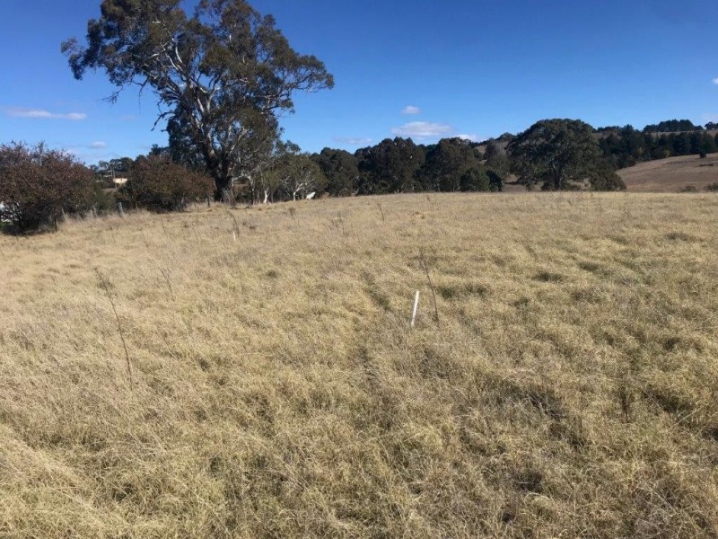 10 Monaro Highway, Bombala NSW 2632