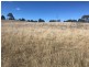 10 Monaro Highway, Bombala NSW 2632