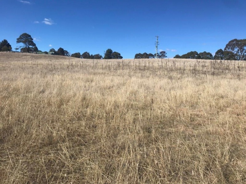 10 Monaro Highway, Bombala NSW 2632
