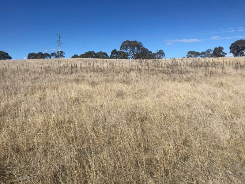 10 Monaro Highway, Bombala NSW 2632