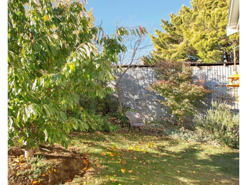 5 Hamilton Street, Dalgety NSW 2628