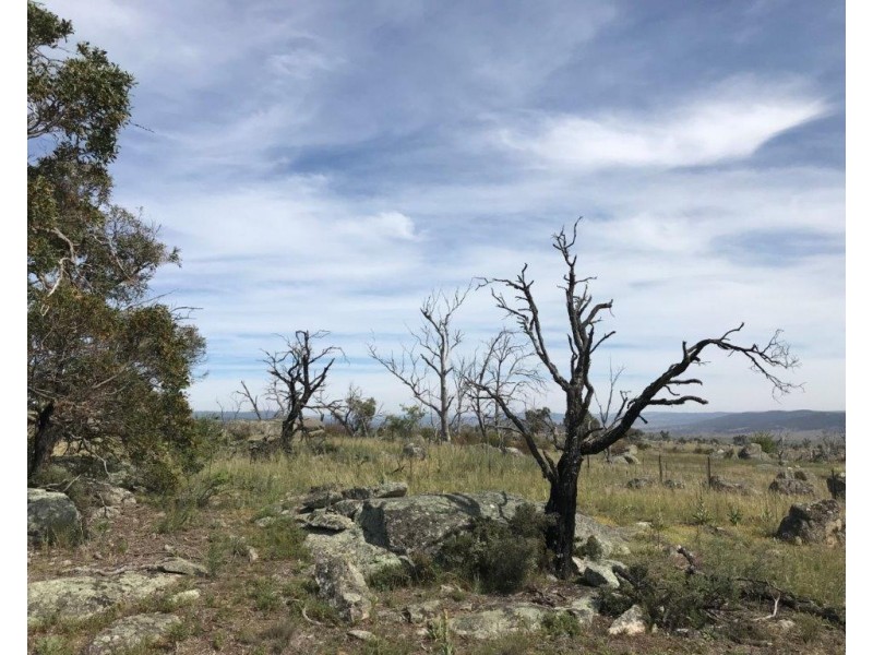 425 – 429 Dalgety Road, Berridale NSW 2628