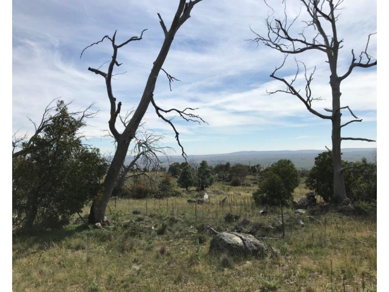 425 – 429 Dalgety Road, Berridale NSW 2628