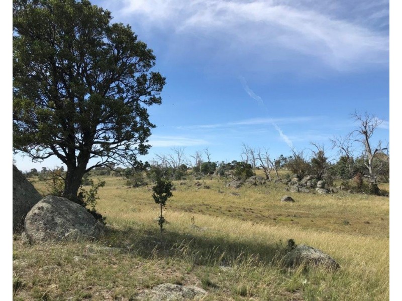 425, 427 & 429 Dalgety Road, Berridale NSW 2628