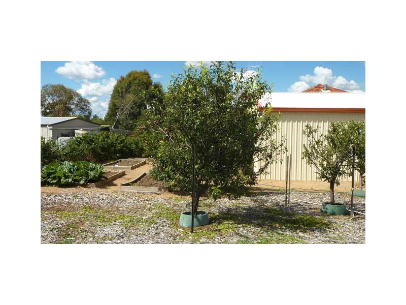 8 Katri Close, Berridale NSW 2628