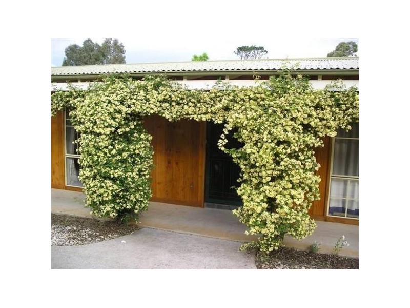 19 Kiparra Drive, Berridale NSW 2628
