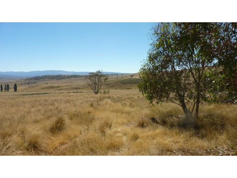 16 Kingston Road, Adaminaby NSW 2629