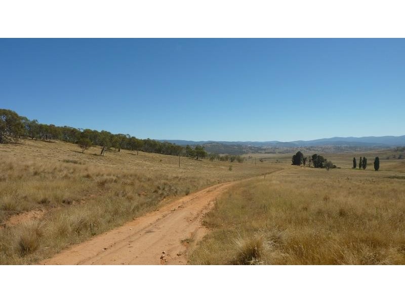 16 Kingston Road, Adaminaby NSW 2629