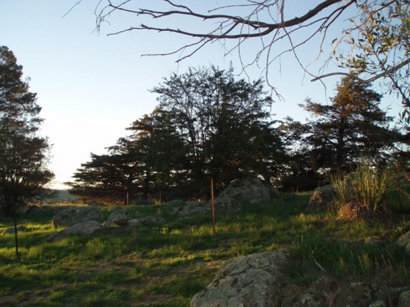 1 Dalgety Road, Berridale NSW 2628