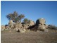 Dalgety NSW 2628