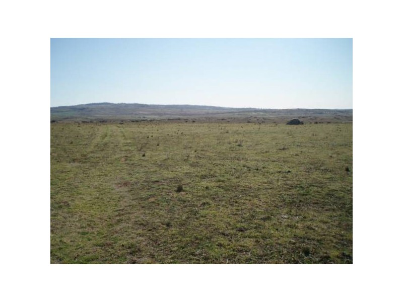 Dalgety NSW 2628