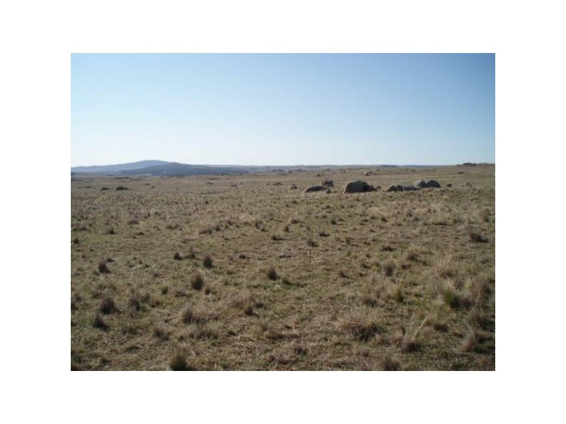 Dalgety NSW 2628