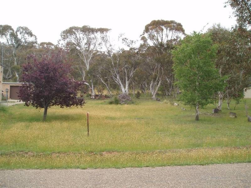 35 Illawong Road, Anglers Reach NSW 2629