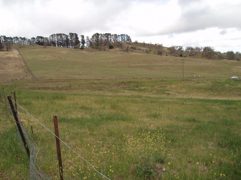 1 Camp Street, Adaminaby NSW 2629