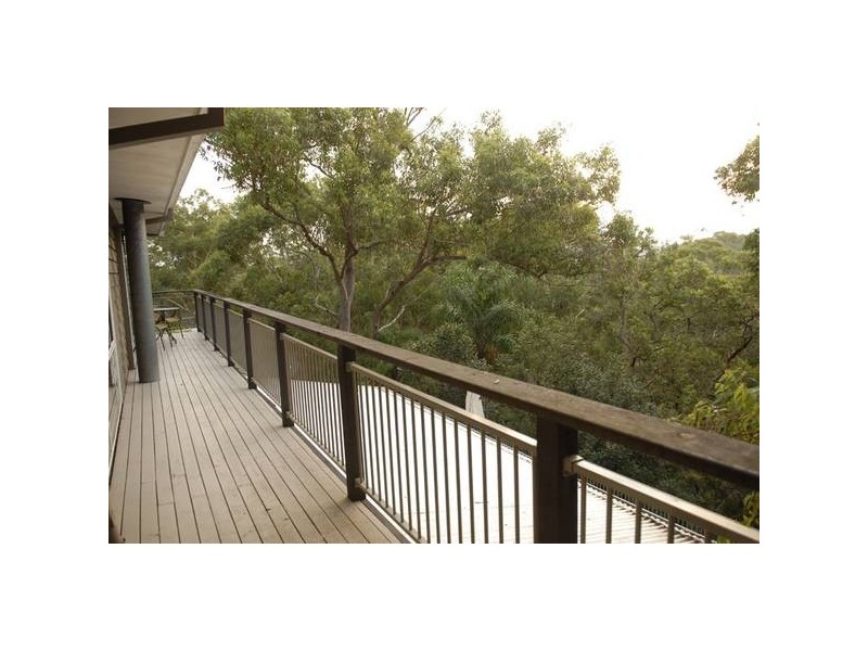 68 Dolly Avenue, Springfield NSW 2250