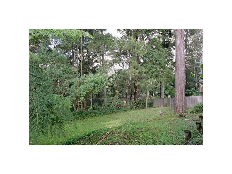 56 Rainforest Road, Wyoming NSW 2250