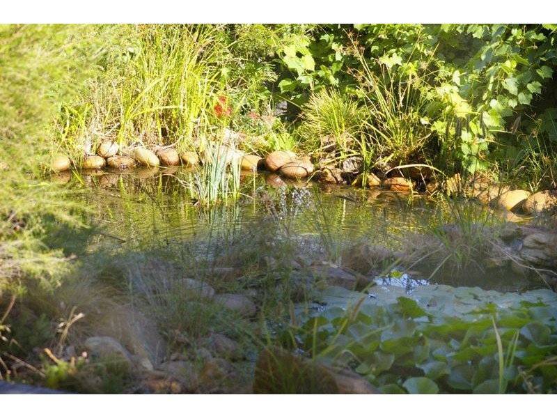 105 Barrabup Road, Nannup WA 6275