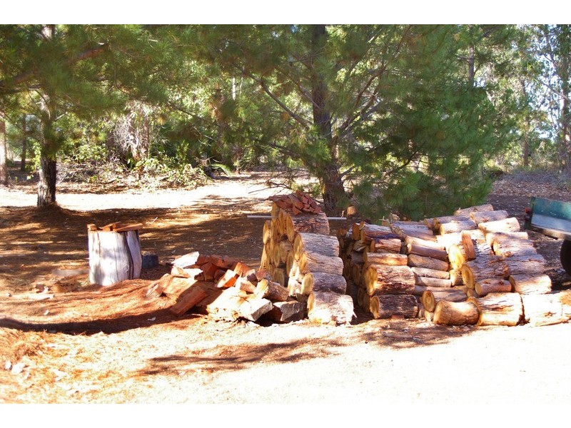 40 Hovea Place, Nannup WA 6275