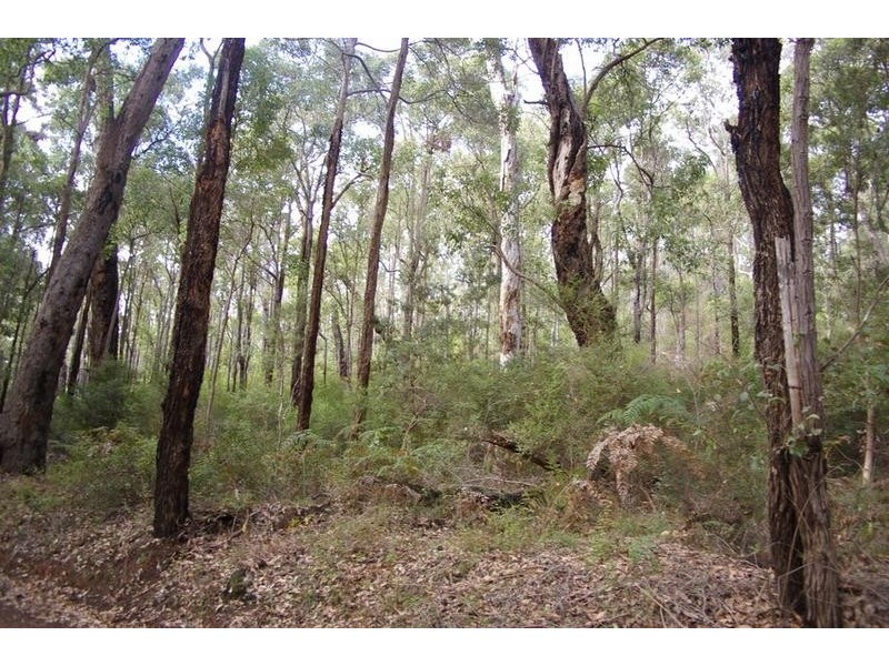 11189 Mount Lewin Loop Road, Nannup WA 6275