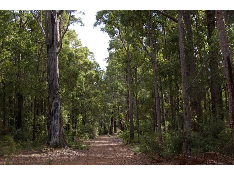 11189 Mount Lewin Loop Road, Nannup WA 6275