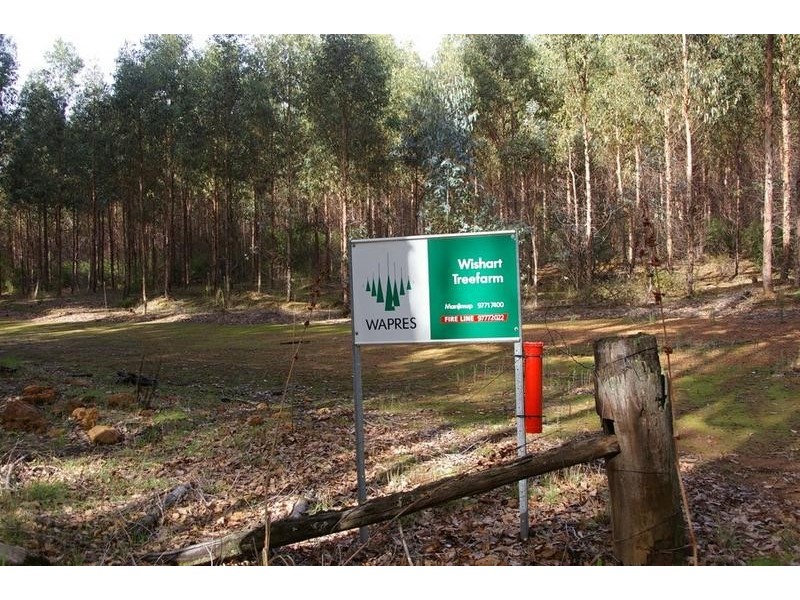 11189 Mount Lewin Loop Road, Nannup WA 6275