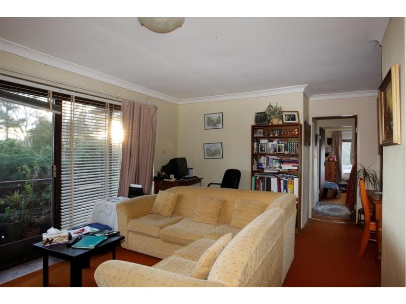 113 Wellbank Street, North Strathfield NSW 2137