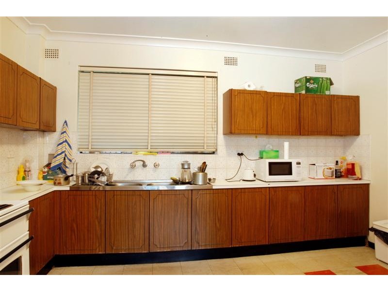 113 Wellbank Street, North Strathfield NSW 2137