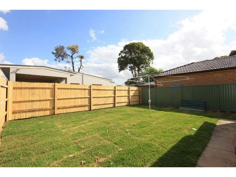 Concord NSW 2137