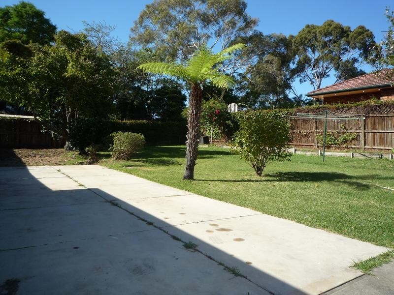 Strathfield NSW 2135